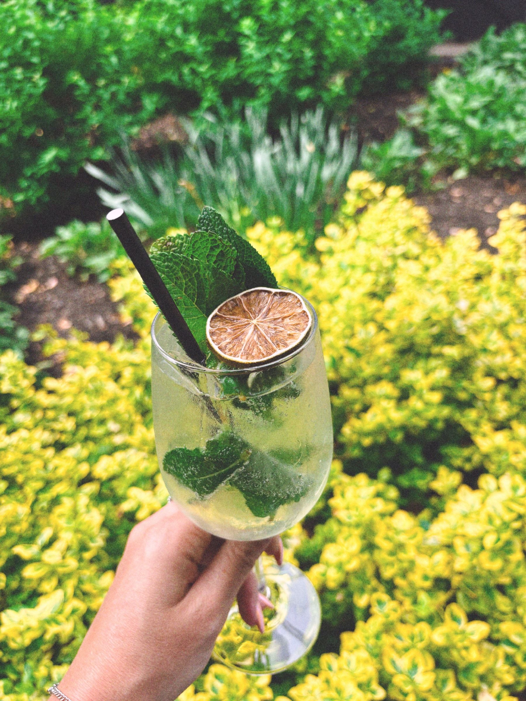 Mojito servi sur la terrasse fleurie du Club Touriste